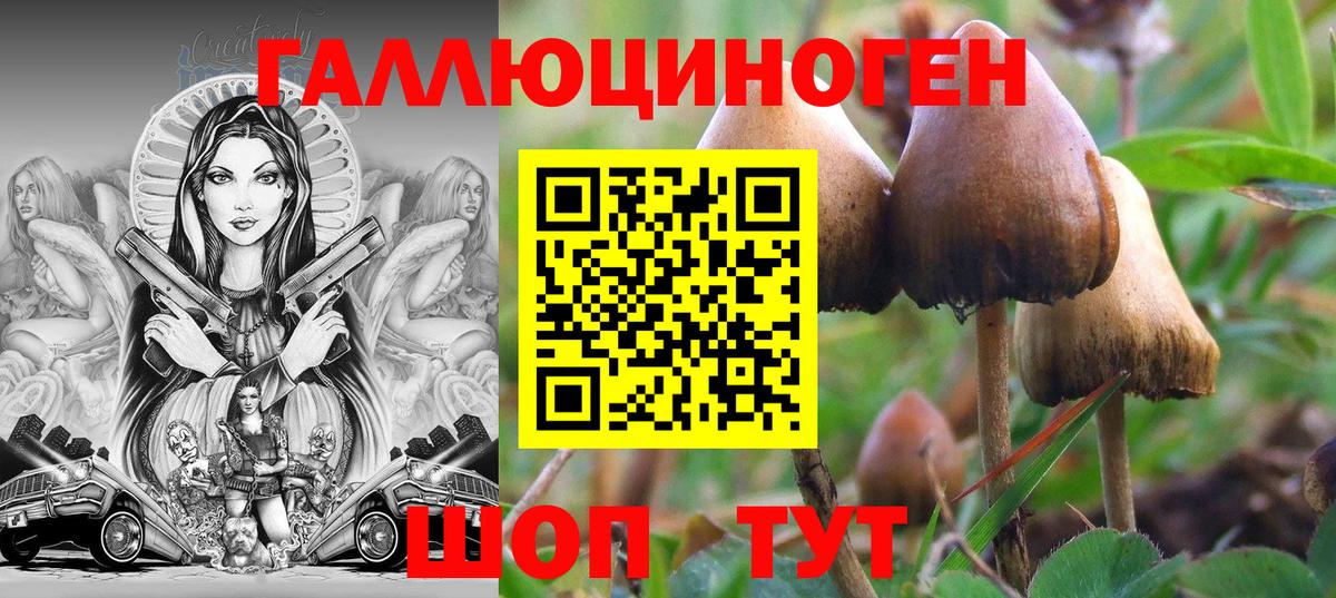 Псилоцибиновые грибы прущие грибы  Вход с VPN  Чернушка 